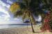 Mauritius Beach